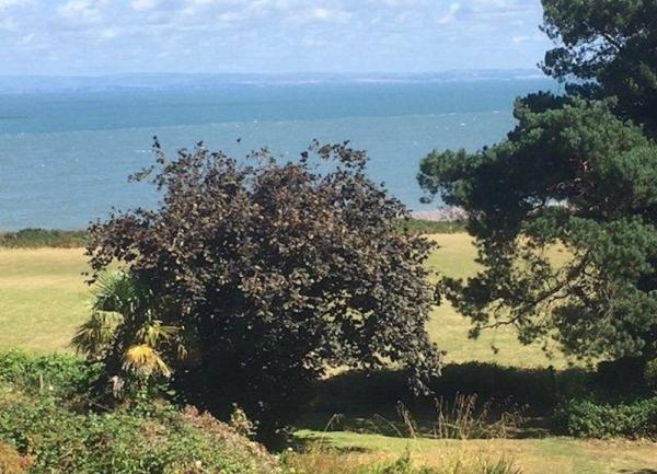 Coastal views of fields, trees and the sea.