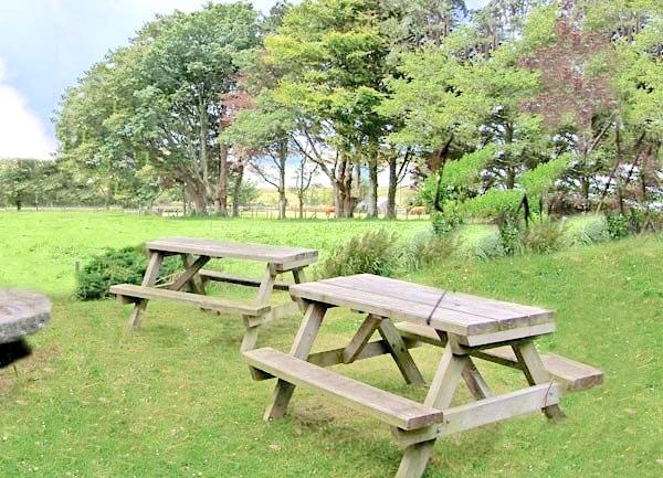 Two picnic tables on a  tree-lined lawn.