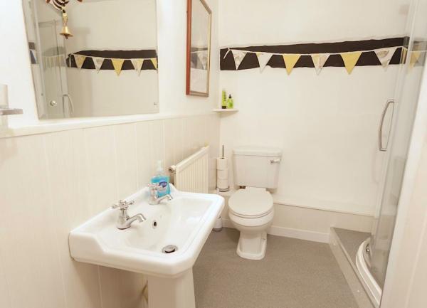 Bathroom with a shower, mirror, WC and washbasin.