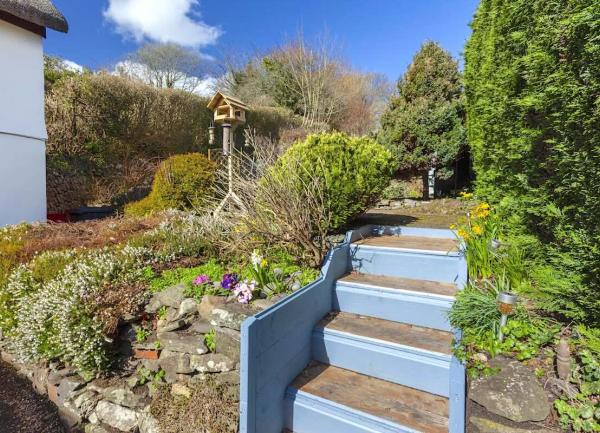 A rockery garden with steps up to a patio.