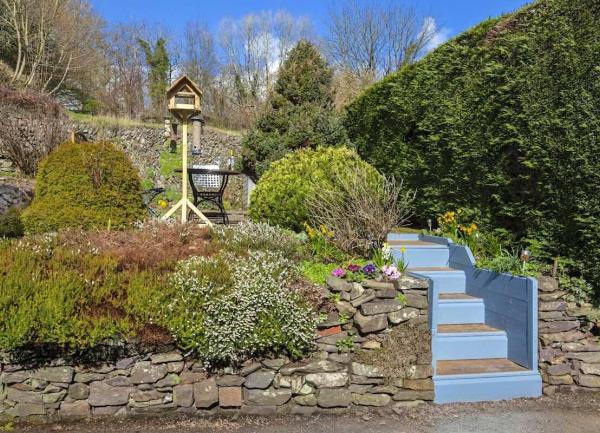 A rocket garden with tall hedges and a bird feeding table