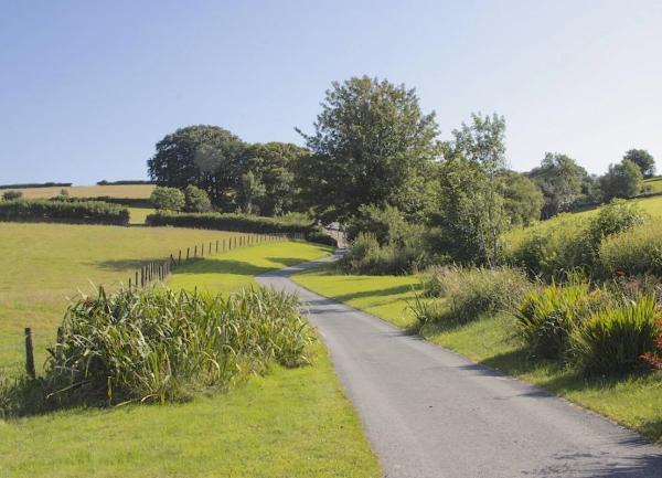 An empty Devon lane winds its way through fields into the distance.