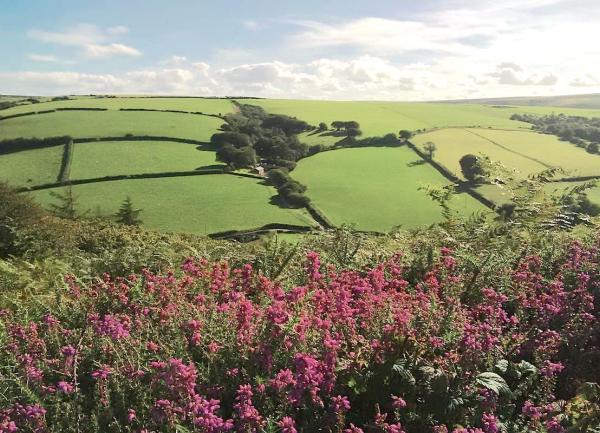 A view over a flower-decked bank to Exmoor's rolling hills.
