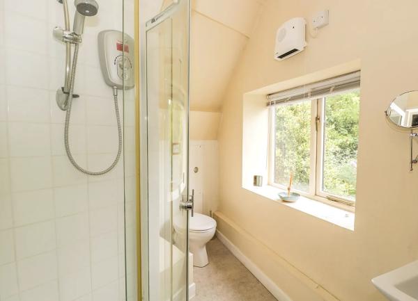 A shower room with WC andwashbasin.