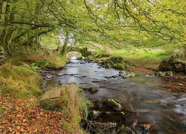 An Exmoor river flowing through a wooded valley with a stone bridge in the distance.