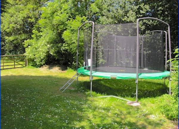 A trampoline with safety net on a lawn lined by tall trees.