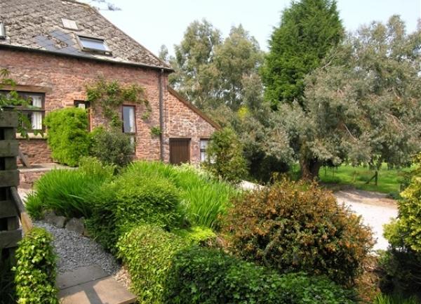 Exterior of an Exmoor rural cottage with a garden full of shrubs.