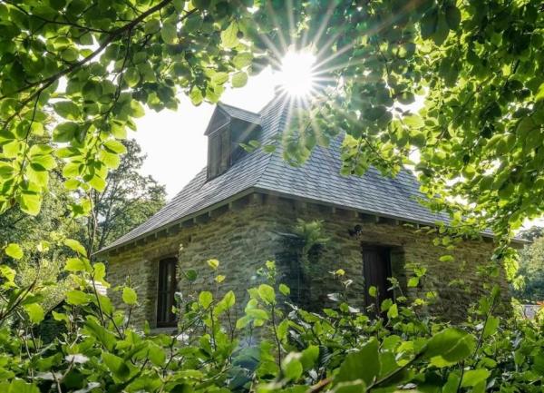 An Exmoor cottage half hidden by trees.
