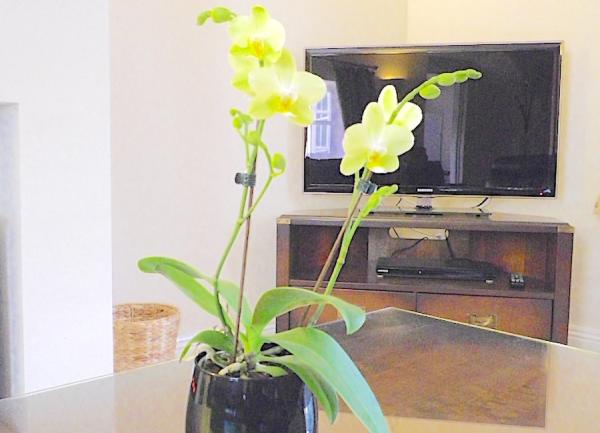 Table with flowers with TV behind.