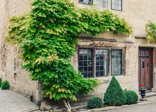 Wisteria-clad Cotswold honeystone holiday cottage.