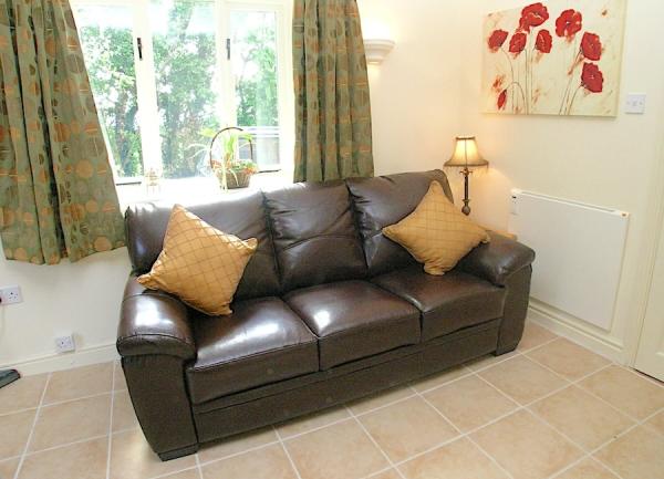 A lounge cornr features a padded leather sofa