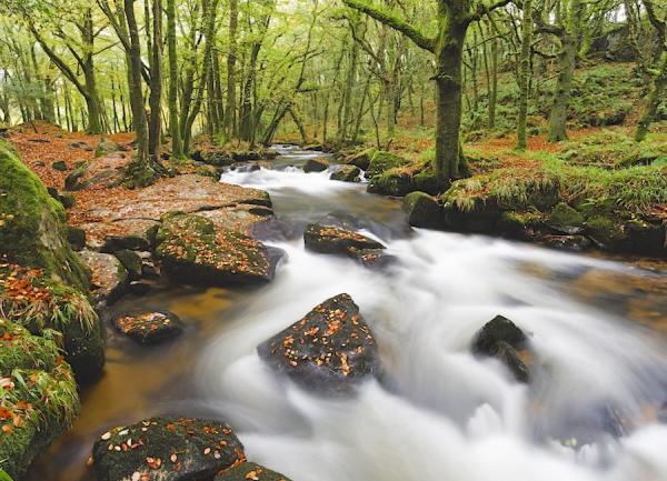 Autumn riverside walsk in North Cornwall.