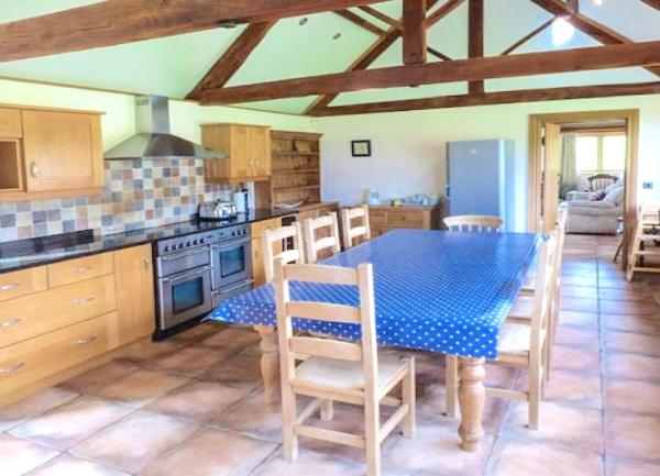 A big, well-equipped kitchen with a modern oven and a dining table seating 8.