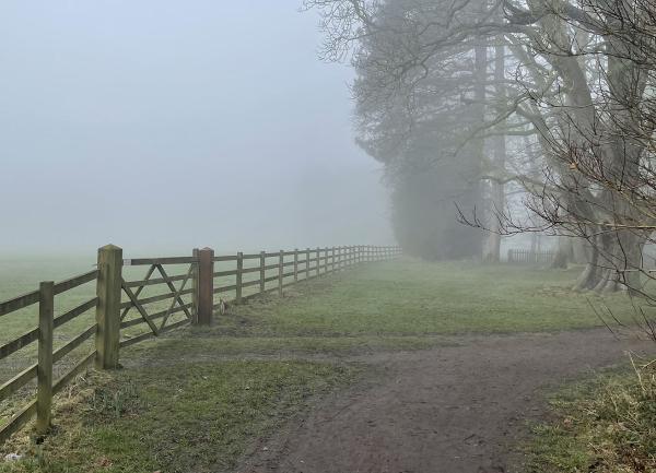The fields opposite - perfect dog for dog walks