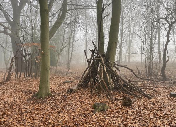 The woods opposite - perfect for dog walks