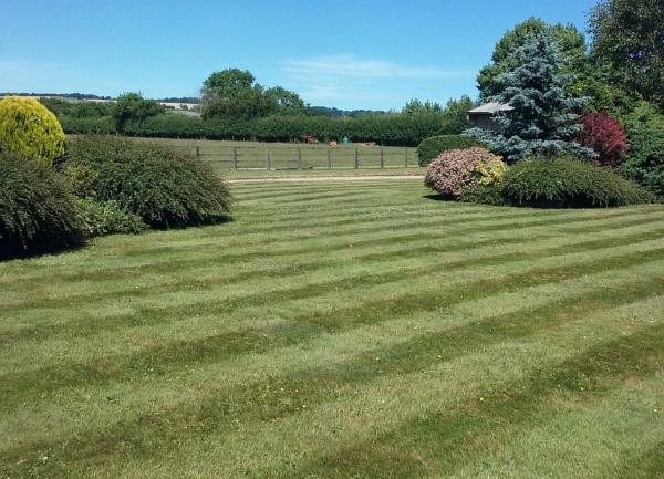 large garden to enjoy