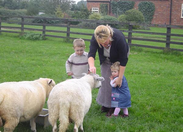 why not feed our sheep !