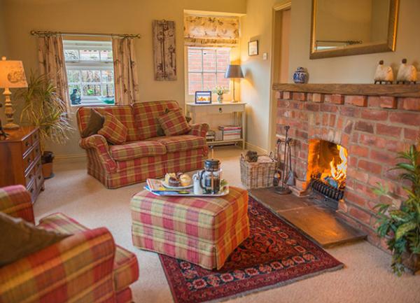 Cosey lounge with open fire