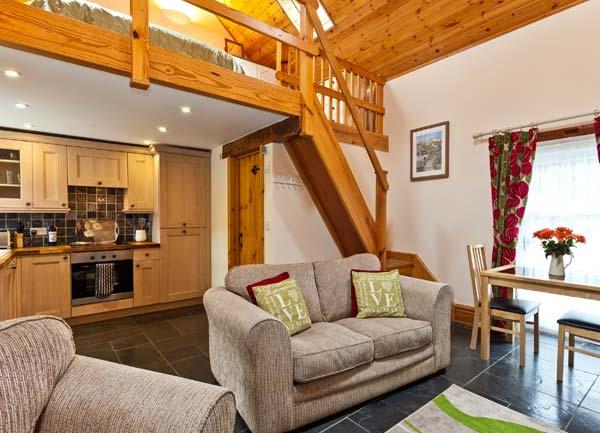 Open plan furnished lounge, kitchen and dining areas.