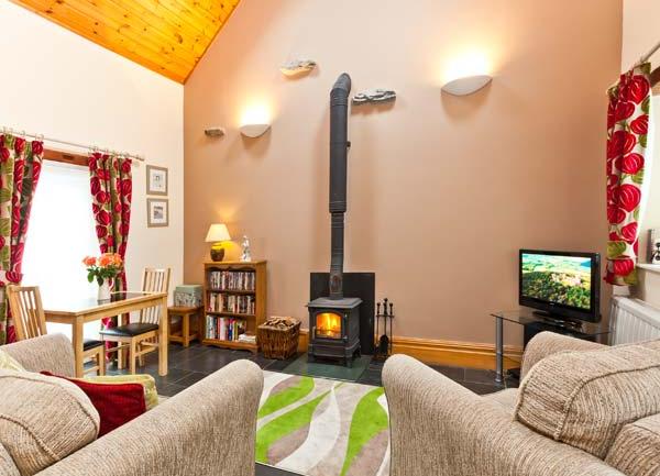 Lounge with armchair, TV and woodburner.