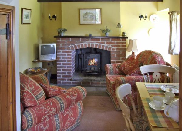 Lounge-diner with easy chairs, TV, woodburner and a diner table.