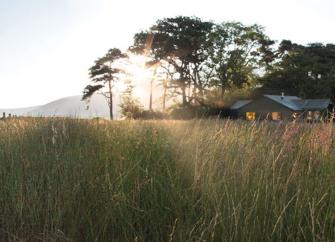 A single storey, wooden eco-lodge in front of a wood, overlooks open fields.
