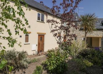 A white-rendered Watchet holiday cottage with a palm tree in its plant-filled garden.
