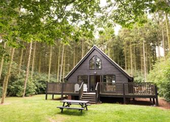 a wooden eco-lodge with a wide deck overlooks a lawn in a pine-woodland clearingg