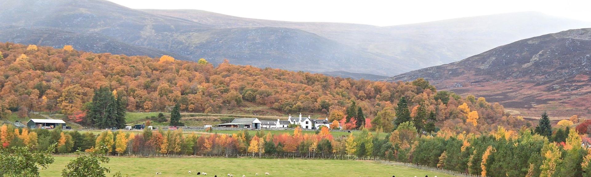A colourful autumn view of a country house  in open country against a back deop of low mountains in The Cairngorms.
