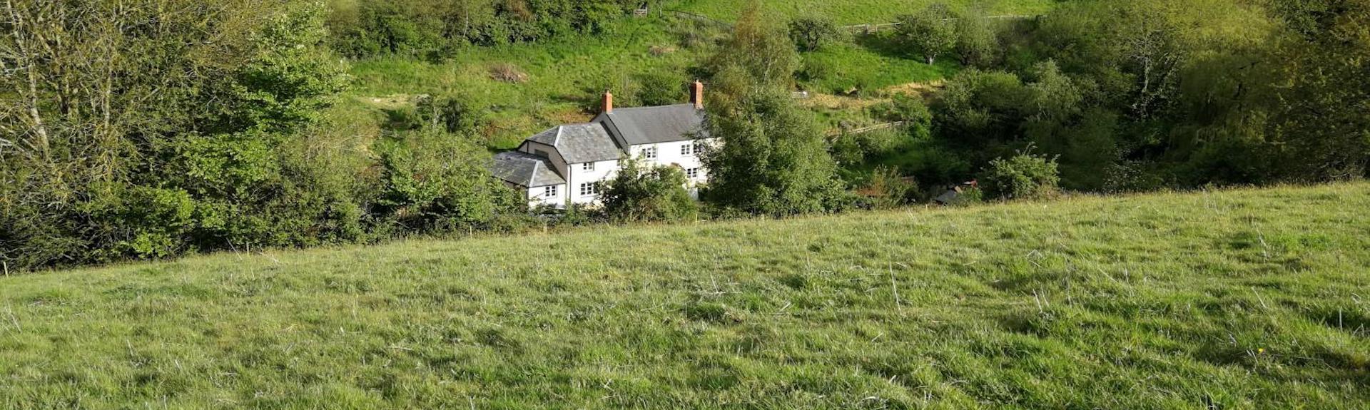 A rural location in high summer, with fields, hedgerows and a white-painted cottage in the middle distance.