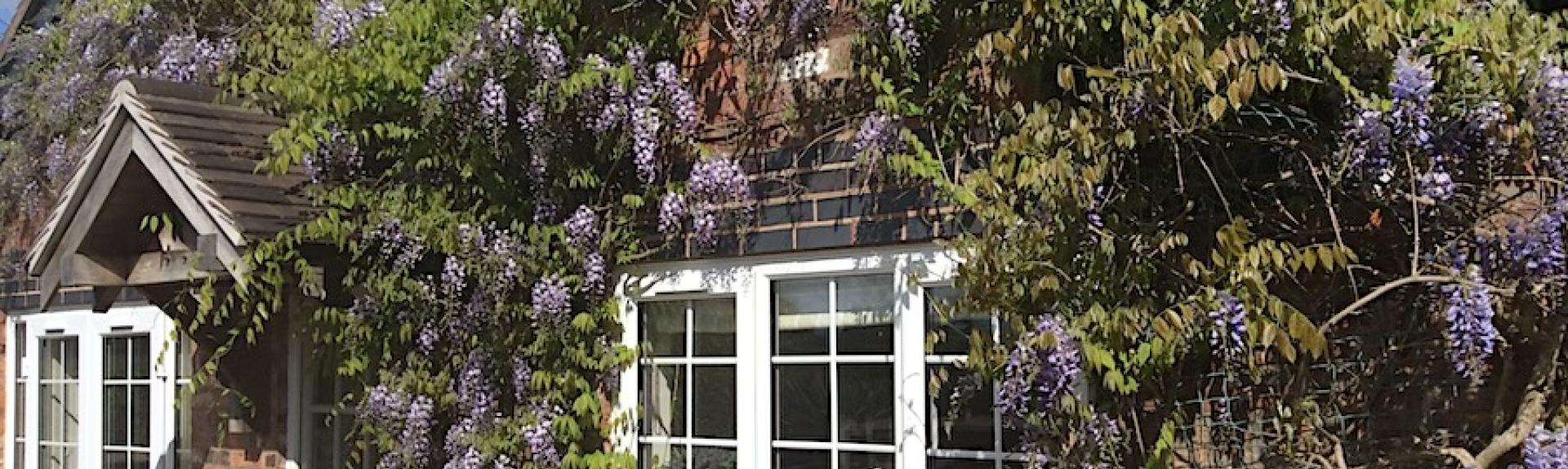 Exterior of a wisteria-clad, stone holiday cottage in Knutsford