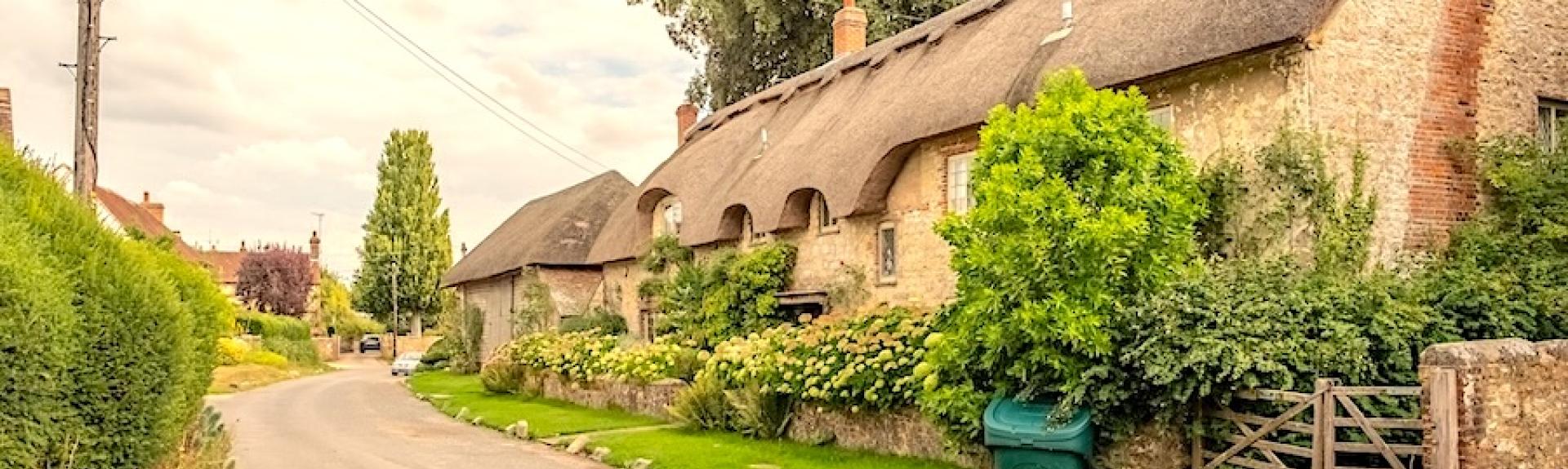 A row of thatched cottages with flower-filled front gardens overlook an empty village street.