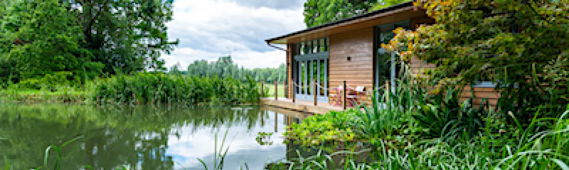 A pine lodge nestles in woodland overlooking a small lake on which ducks are swimming.