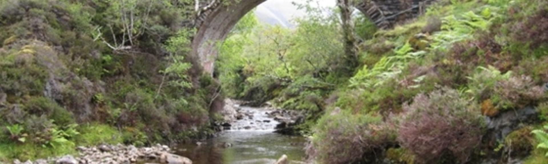 A high stone arched bridge spans a mountain stream.