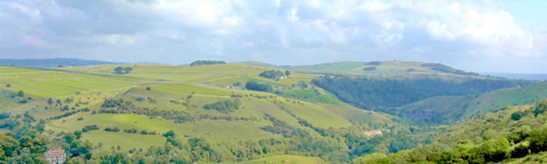 A large Peak District valley with fields and trees toped by moorland