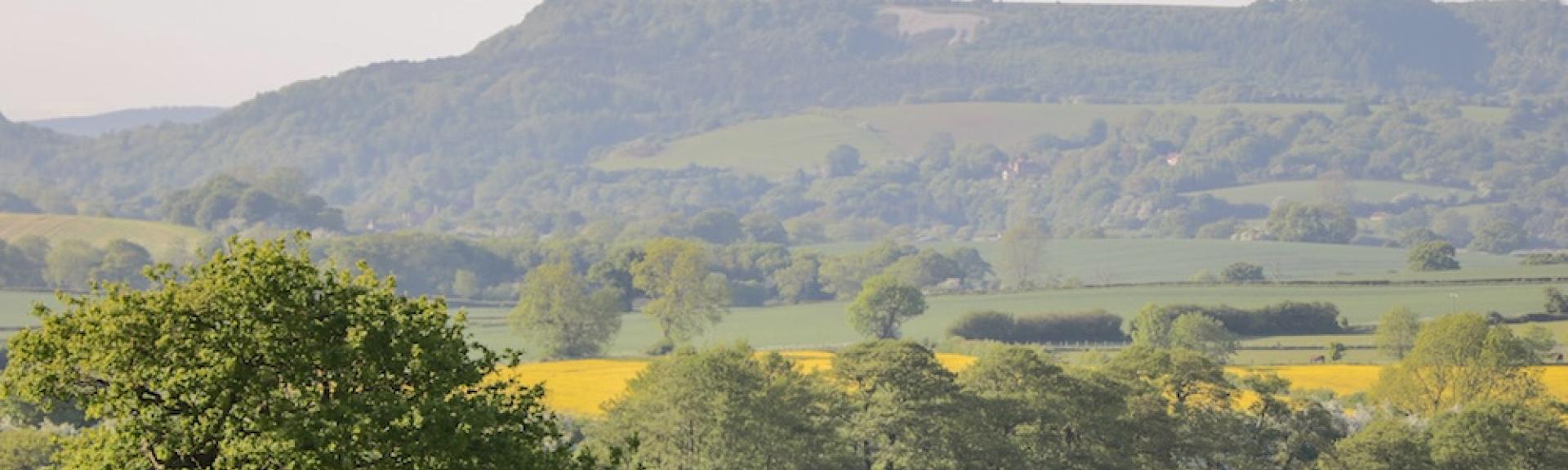 A distant view across a valley with fields of rape flowers in full bloom.