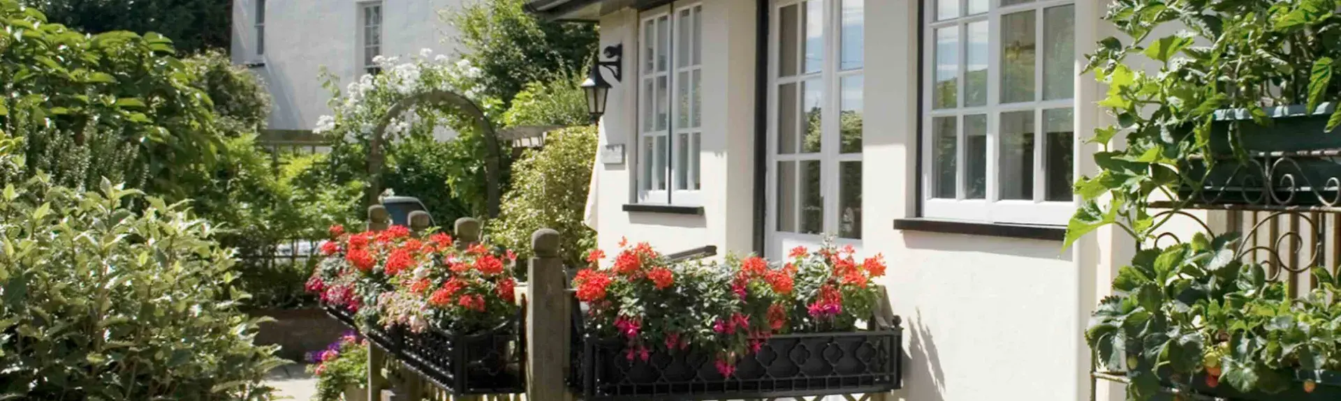 Garden shrubs and troughs of flowers around a cottage front door.