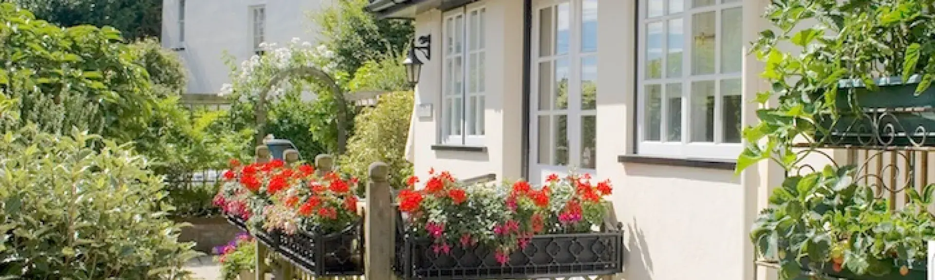 Cottage windows and a front door look out on a well-tended shrub and flower-filled garden in Sidmouth.
