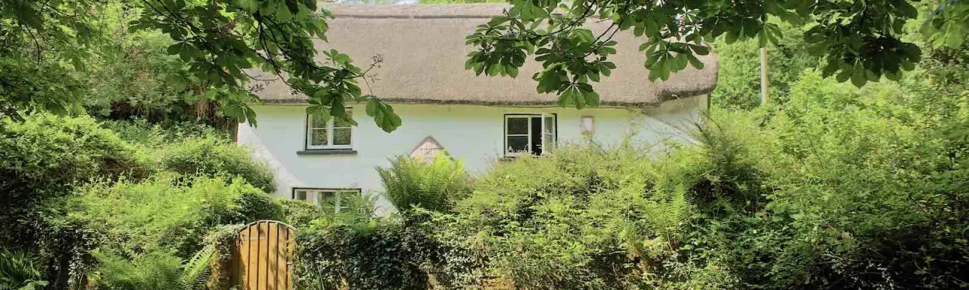 A newly thatched cottage behind a garden wall seen through a gap beneath leafy branches.gap between 