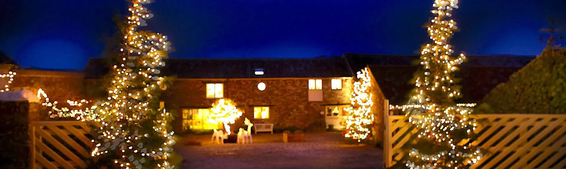 Christmas Trees welcome guests to Parkgate Cottages in North Devon