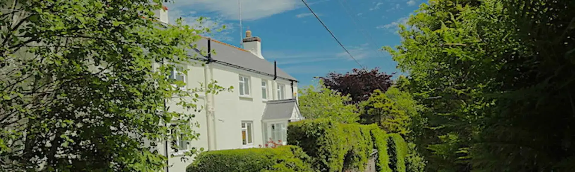 A cottage overlooks a Devon lane with high hedgerows in full summer leaf.