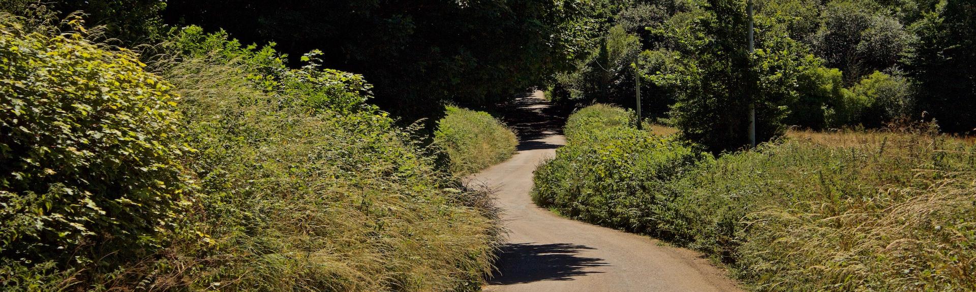 A summer walk from Triangle Cottage in Tawstock, North Devon