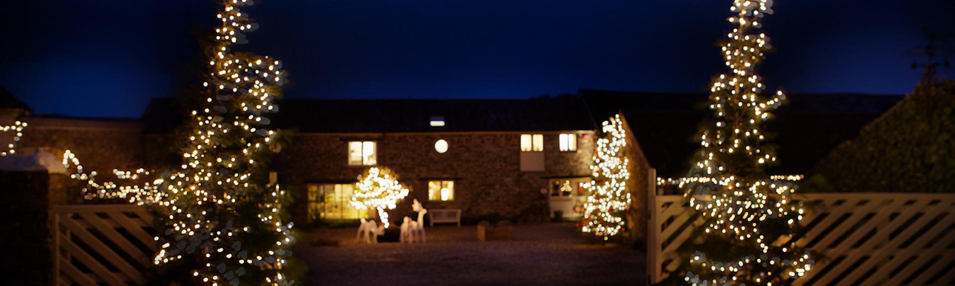 Christmas Trees welcome guests to Parkgate Cottages in North Devon