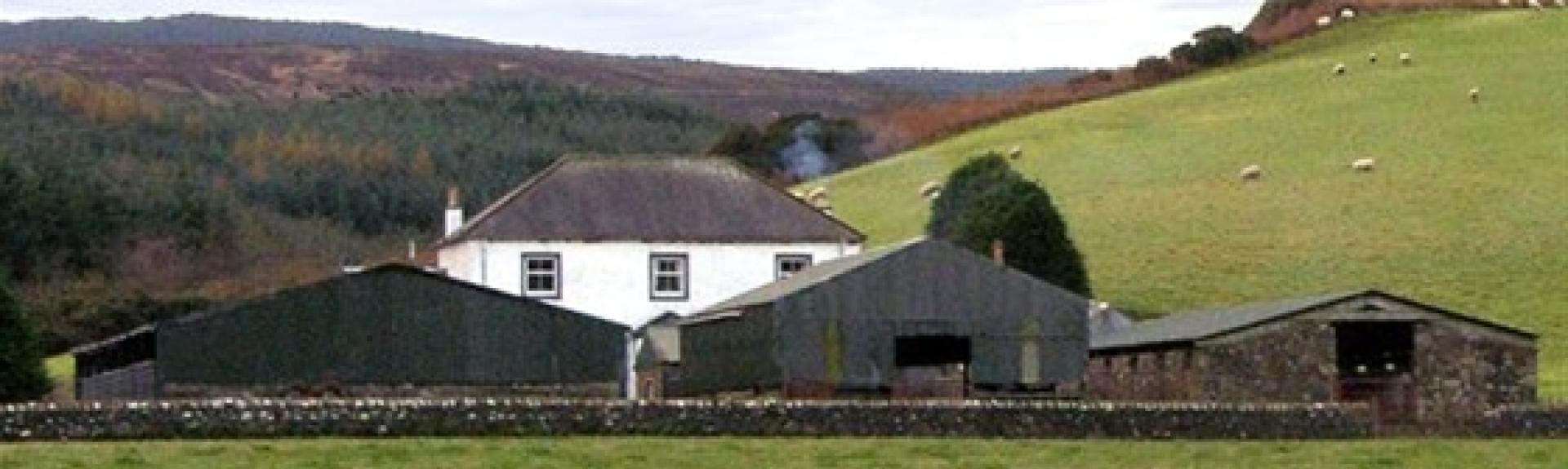 A Northumberland farmhouse in open countryside overlooks a row of traditional barns