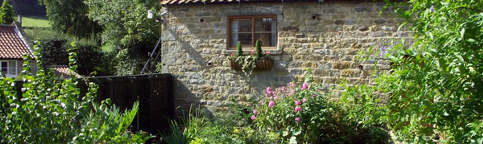 North Yorkshire barn conversion surrounded by a lawn, trees and mature shrubs