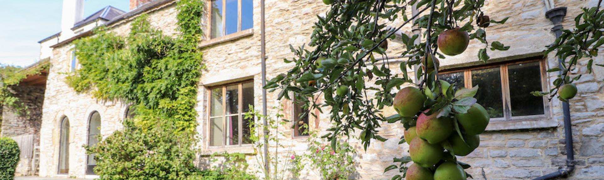 Exterior of a long, stone built Derbyshire holiday cottage overlooking a garden with mature tree.