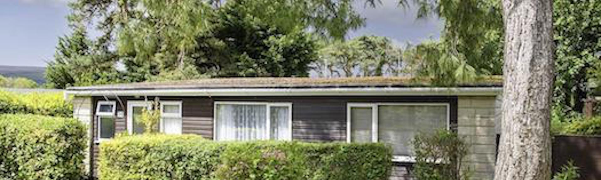 Exterior of a wooden holiday lodge in Watchet, surrounded by lawns,mature pine tree and beach hedges.