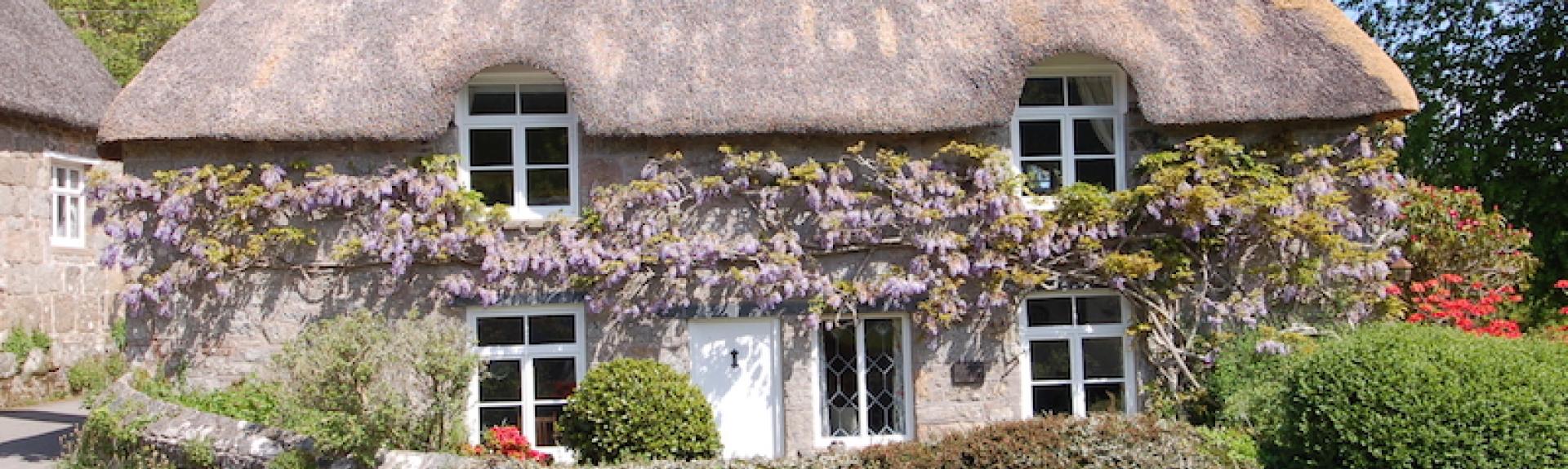 A thatched country cottage on Dartmoor overlooks its front hedge