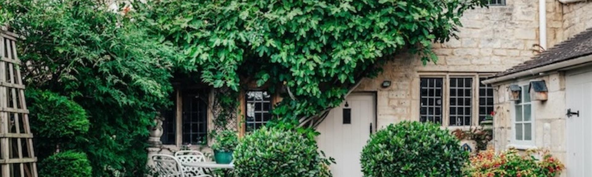 A Cotswold holidy cottage with a vine-covered exterior.