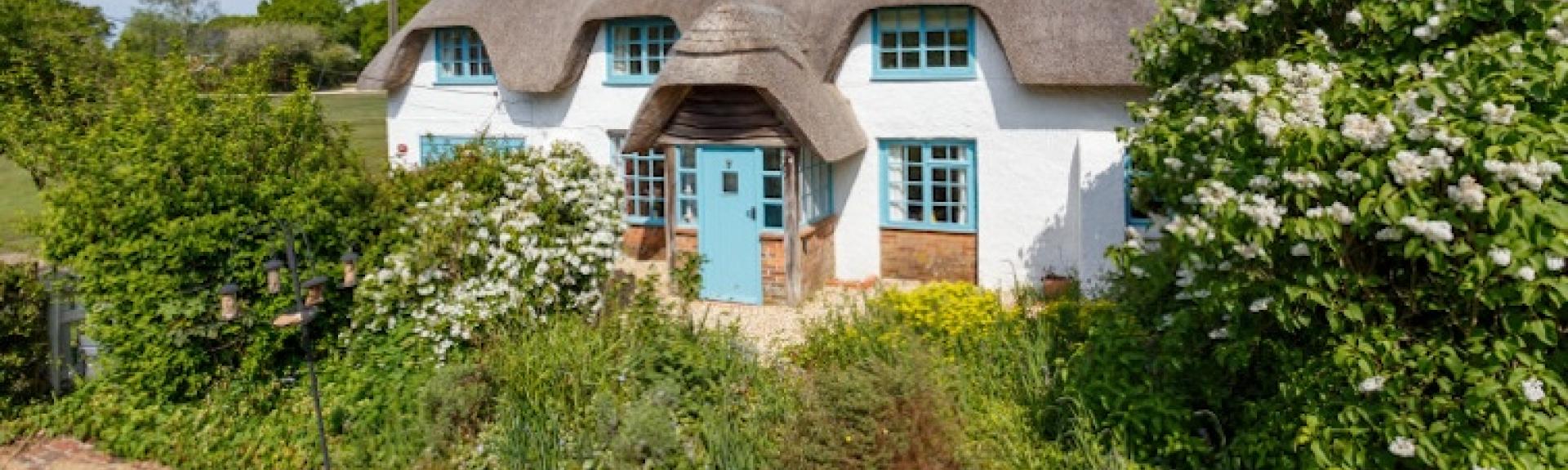 A thatched Hampshire holiday cottage sits behind a flowering hedgerow in the countryside.